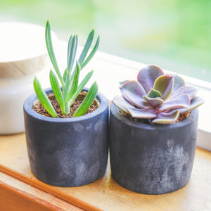 CONCRETE POTS | BLACK